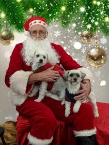 Dior & Sammy With Santa
