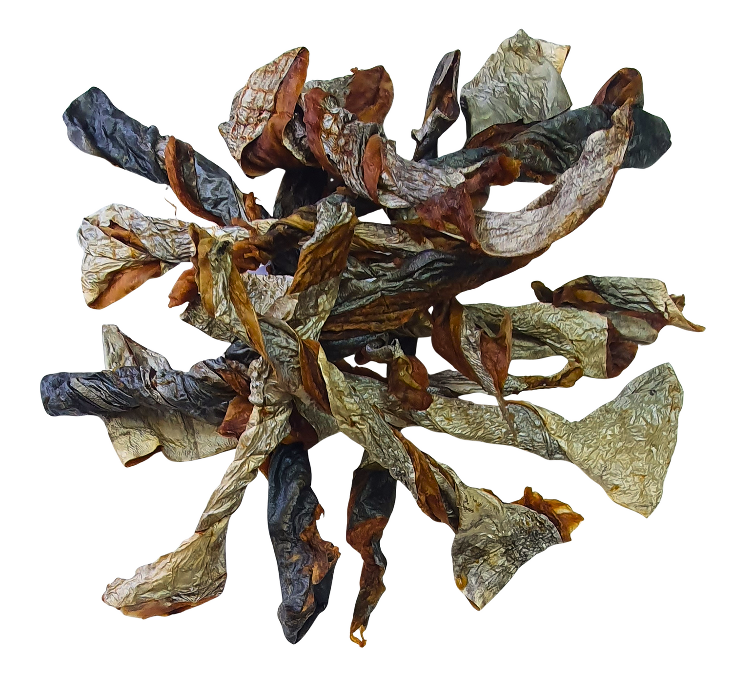 Mackerel Fish Skin Twirls